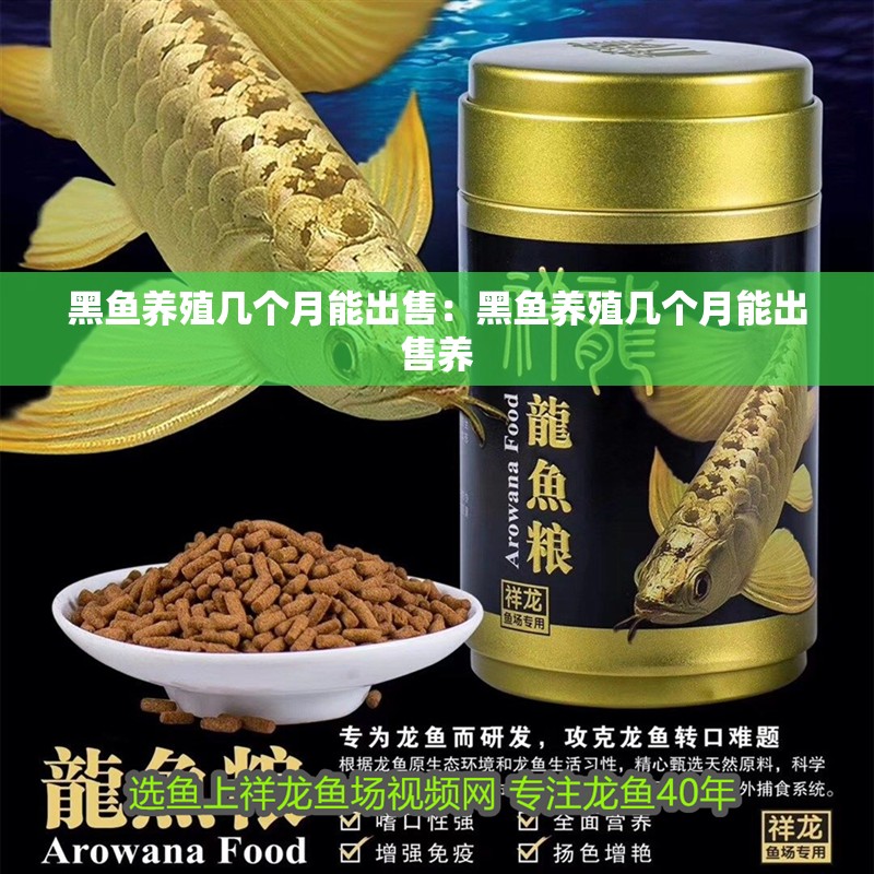 黑魚養殖幾個月能出售：黑魚養殖幾個月能出售養