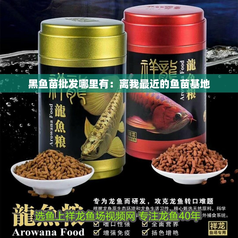 黑魚苗批發(fā)哪里有：離我最近的魚苗基地