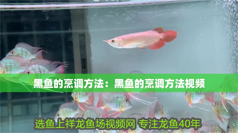 黑魚的烹調(diào)方法：黑魚的烹調(diào)方法視頻