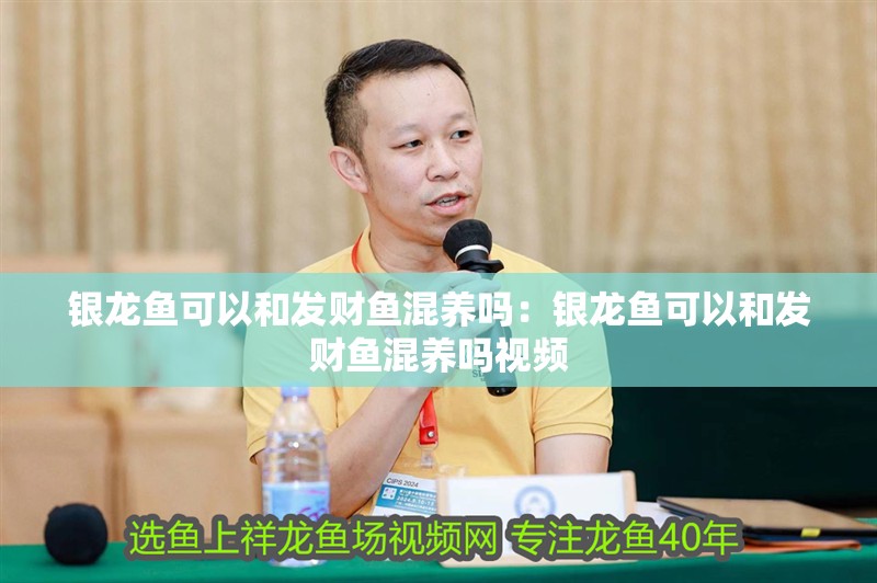 銀龍魚可以和發財魚混養嗎：銀龍魚可以和發財魚混養嗎視頻