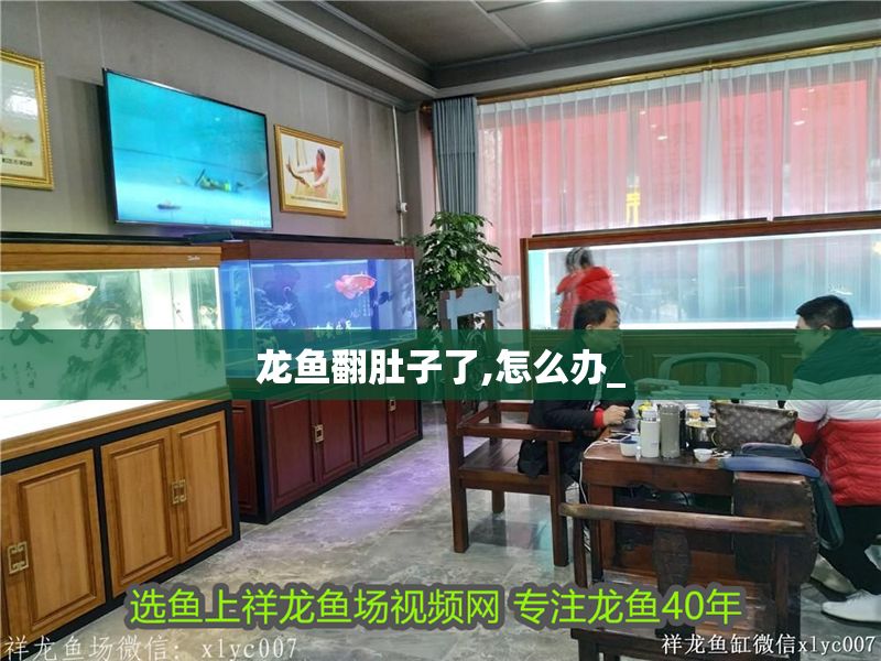 龍魚翻肚子了,怎么辦_