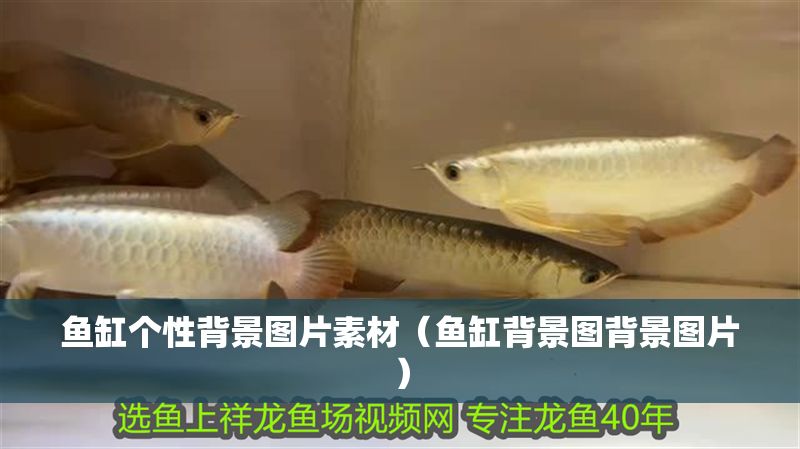 魚缸個性背景圖片素材（魚缸背景圖背景圖片）