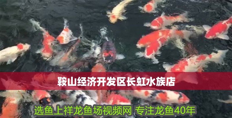 鞍山經濟開發區長虹水族店