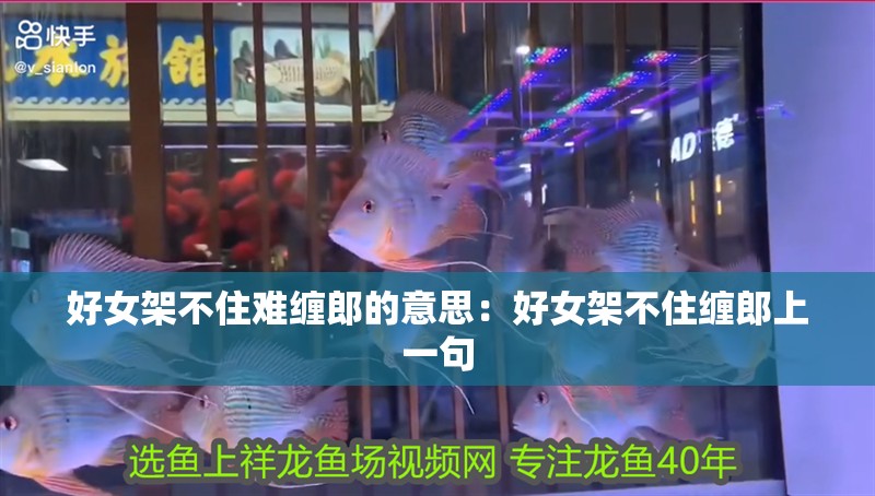 好女架不住難纏郎的意思：好女架不住纏郎上一句