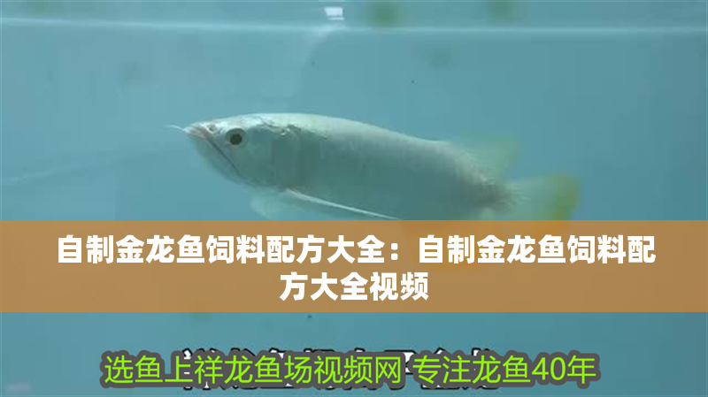 自制金龍魚飼料配方大全：自制金龍魚飼料配方大全視頻