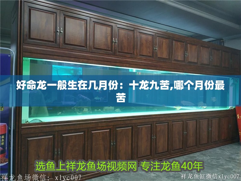 好命龍一般生在幾月份：十龍九苦,哪個月份最苦