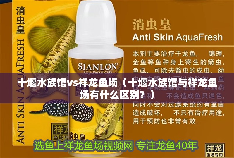 十堰水族館vs祥龍魚場（十堰水族館與祥龍魚場有什么區別？）