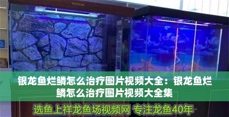 銀龍魚爛鱗怎么治療圖片視頻大全：銀龍魚爛鱗怎么治療圖片視頻大全集