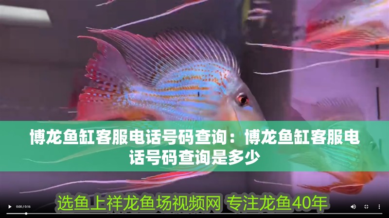 博龍魚缸客服電話號碼查詢：博龍魚缸客服電話號碼查詢是多少