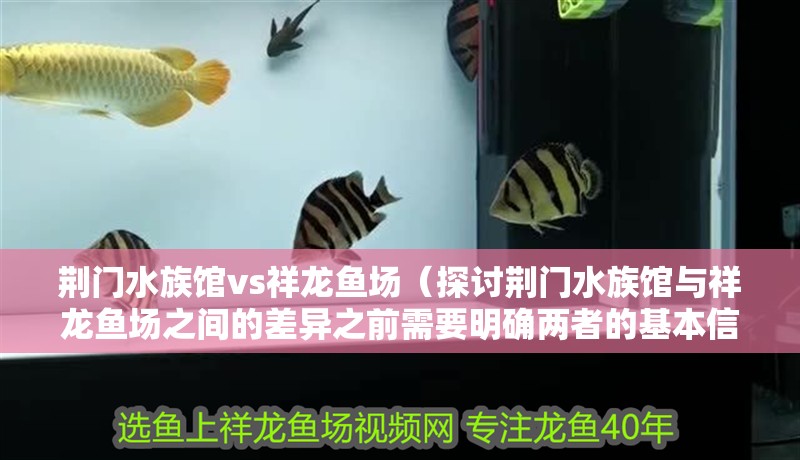 荊門水族館vs祥龍魚場（探討荊門水族館與祥龍魚場之間的差異之前需要明確兩者的基本信息）