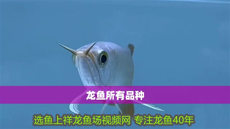 龍魚所有品種