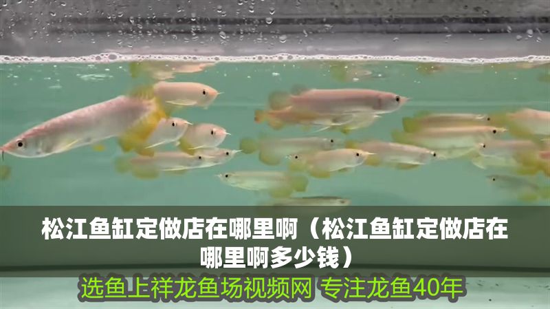 松江魚缸定做店在哪里啊（松江魚缸定做店在哪里啊多少錢）