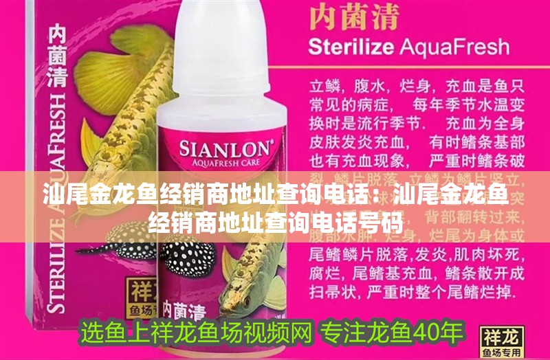 汕尾金龍魚經銷商地址查詢電話：汕尾金龍魚經銷商地址查詢電話號碼