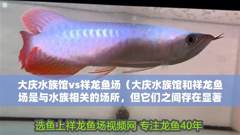 大慶水族館vs祥龍魚場（大慶水族館和祥龍魚場是與水族相關的場所，但它們之間存在顯著的區別）