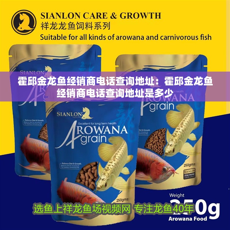 霍邱金龍魚經銷商電話查詢地址：霍邱金龍魚經銷商電話查詢地址是多少