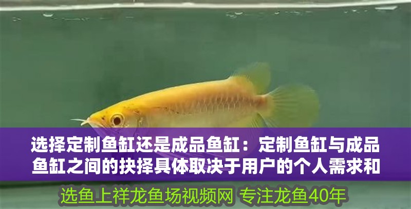 選擇定制魚(yú)缸還是成品魚(yú)缸：定制魚(yú)缸與成品魚(yú)缸之間的抉擇具體取決于用戶(hù)的個(gè)人需求和偏好