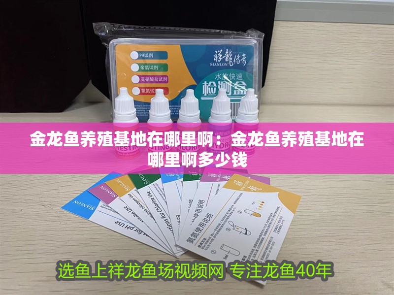 金龍魚(yú)養(yǎng)殖基地在哪里啊：金龍魚(yú)養(yǎng)殖基地在哪里啊多少錢(qián)