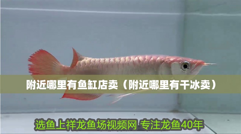 附近哪里有魚缸店賣（附近哪里有干冰賣）