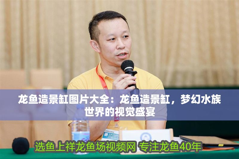 龍魚造景缸圖片大全：龍魚造景缸，夢幻水族世界的視覺盛宴