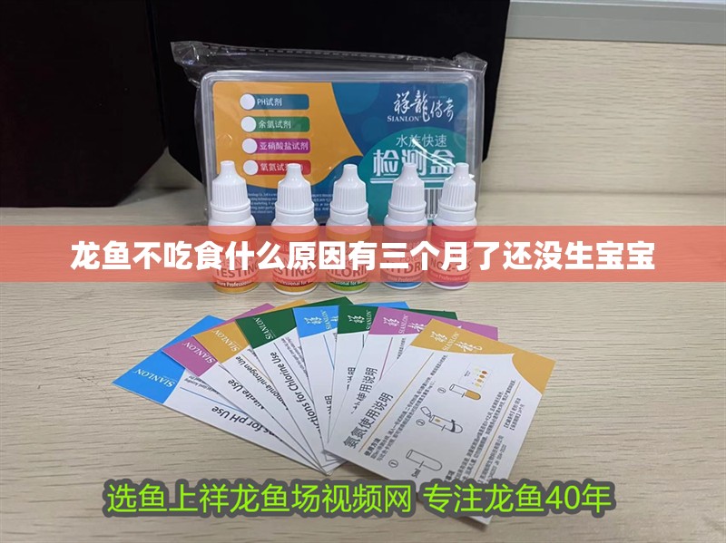 龍魚不吃食什么原因有三個月了還沒生寶寶