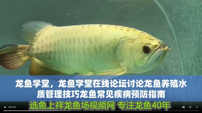 龍魚(yú)學(xué)堂，龍魚(yú)學(xué)堂在線(xiàn)論壇討論龍魚(yú)養(yǎng)殖水質(zhì)管理技巧龍魚(yú)常見(jiàn)疾病預(yù)防指南