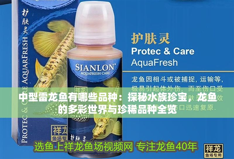 中型雷龍魚有哪些品種：探秘水族珍寶，龍魚的多彩世界與珍稀品種全覽