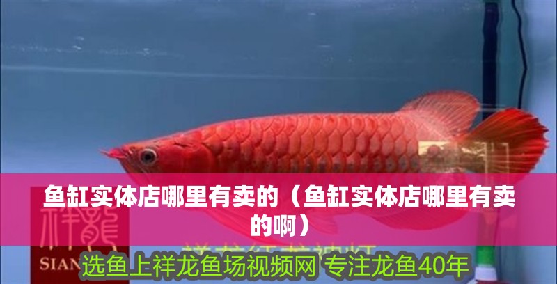 魚缸實體店哪里有賣的（魚缸實體店哪里有賣的啊）