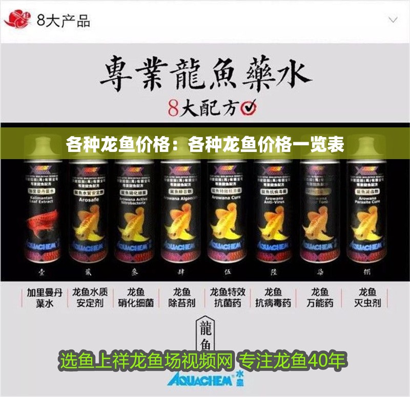 各種龍魚價格：各種龍魚價格一覽表