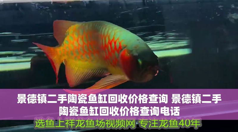 景德鎮二手陶瓷魚缸回收價格查詢 景德鎮二手陶瓷魚缸回收價格查詢電話