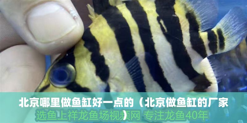 <strong><mark>北京</mark></strong>哪里做魚缸好一點的（<strong><mark>北京</mark></strong>做魚缸的廠家）