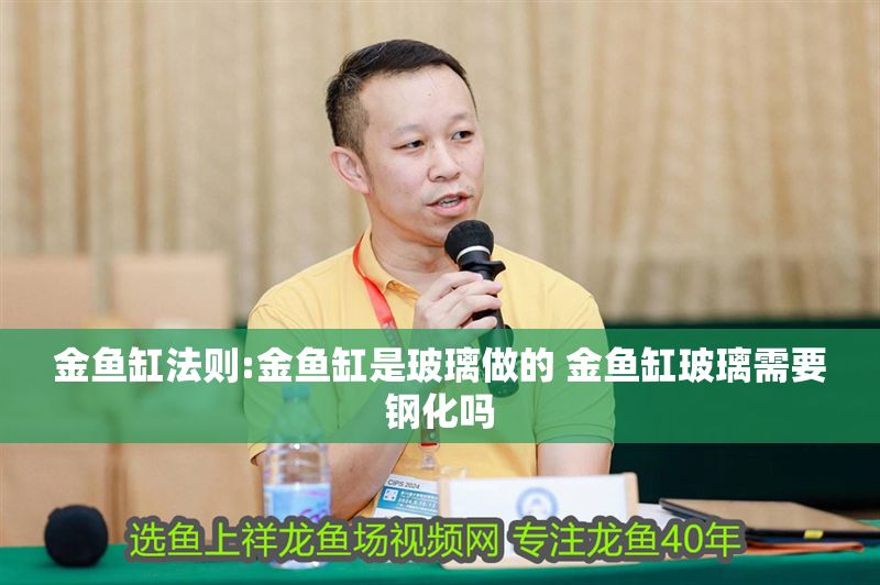 金魚缸法則:金魚缸是玻璃做的 金魚缸玻璃需要鋼化嗎
