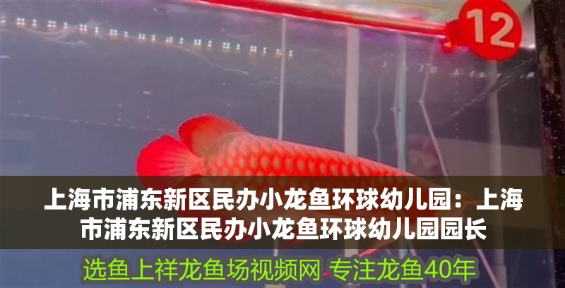 上海市浦東新區(qū)民辦小龍魚環(huán)球幼兒園：上海市浦東新區(qū)民辦小龍魚環(huán)球幼兒園園長 上海市浦東新區(qū)民辦小龍魚環(huán)球幼兒園：上海市浦東新區(qū)民辦小龍魚環(huán)球幼兒園園長 水族問答