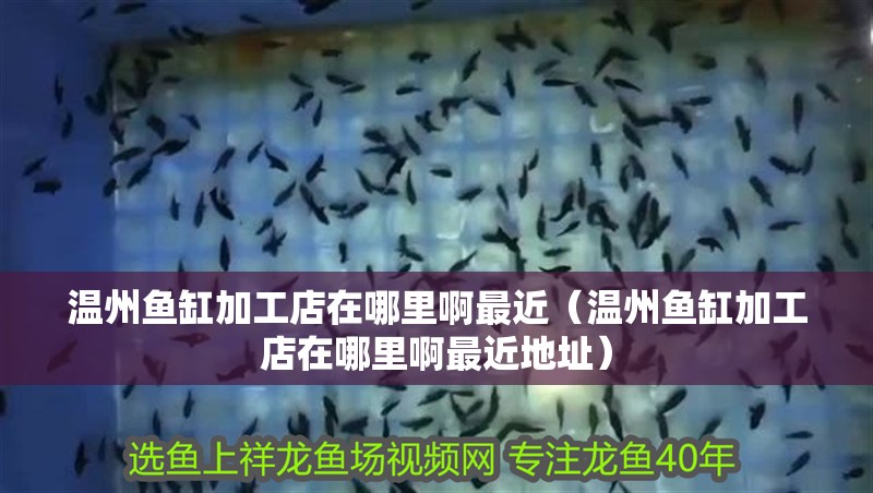 溫州魚缸加工店在哪里啊最近（溫州魚缸加工店在哪里啊最近地址）