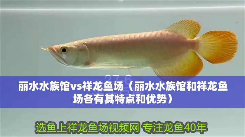 麗水水族館vs祥龍魚場（麗水水族館和祥龍魚場各有其特點(diǎn)和優(yōu)勢(shì)）