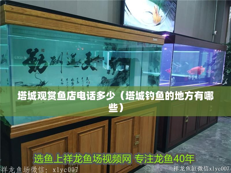 塔城觀賞魚店電話多少（塔城釣魚的地方有哪些）