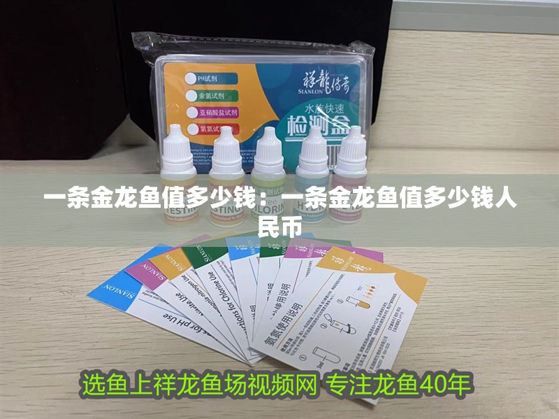 一條金龍魚值多少錢：一條金龍魚值多少錢人民幣