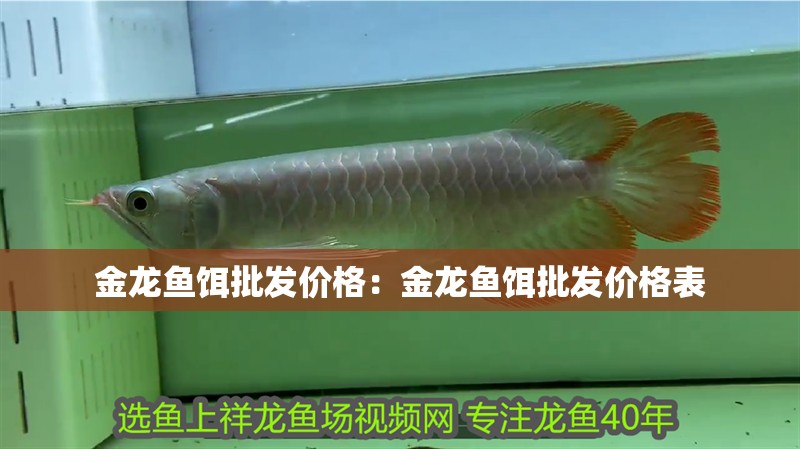 金龍魚餌批發價格：金龍魚餌批發價格表