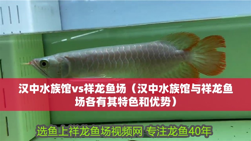 漢中水族館vs祥龍魚場（漢中水族館與祥龍魚場各有其特色和優勢）