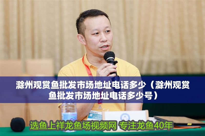 滁州觀賞魚批發市場地址電話多少（滁州觀賞魚批發市場地址電話多少號）