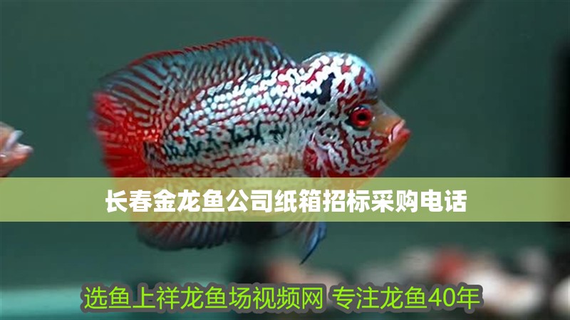 長春金龍魚公司紙箱招標采購電話
