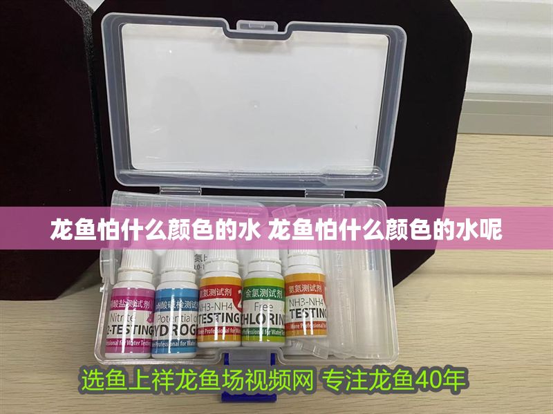 龍魚怕什么顏色的水 龍魚怕什么顏色的水呢