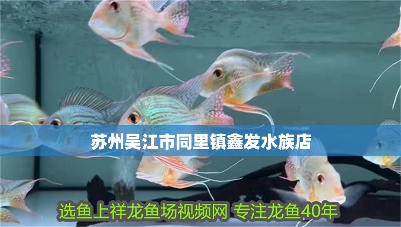 蘇州吳江市同里鎮鑫發水族店