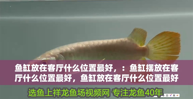 魚缸放在客廳什么位置最好，：魚缸擺放在客廳什么位置最好，魚缸放在客廳什么位置最好