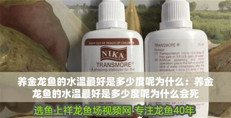 養(yǎng)金龍魚的水溫最好是多少度呢為什么：養(yǎng)金龍魚的水溫最好是多少度呢為什么會(huì)死