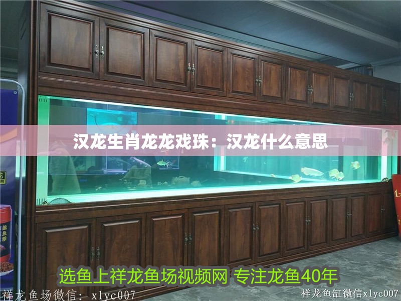 漢龍生肖龍龍戲珠：漢龍什么意思