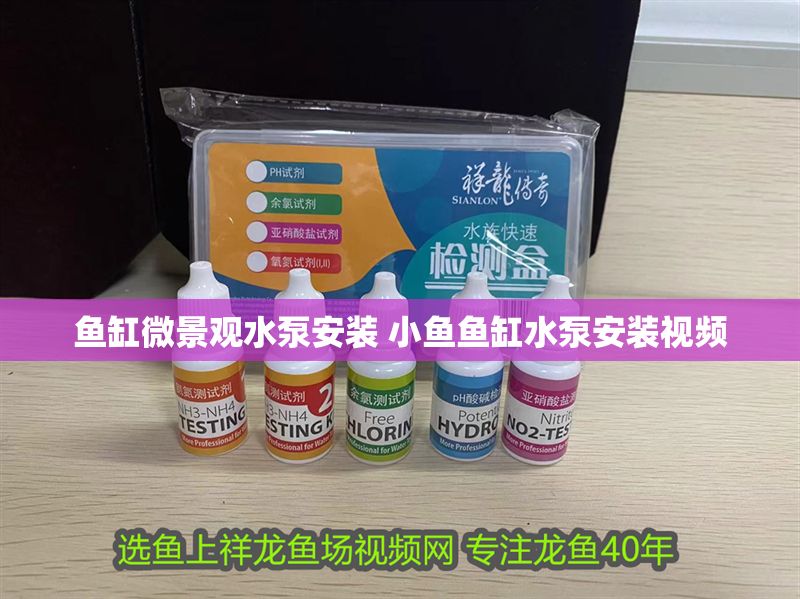 魚缸微景觀水泵安裝 小魚魚缸水泵安裝視頻
