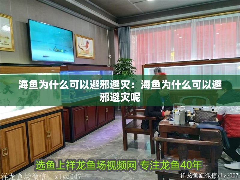 海魚為什么可以避邪避災：海魚為什么可以避邪避災呢