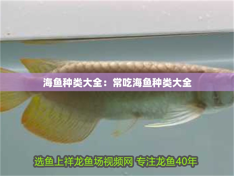海魚(yú)種類(lèi)大全：常吃海魚(yú)種類(lèi)大全
