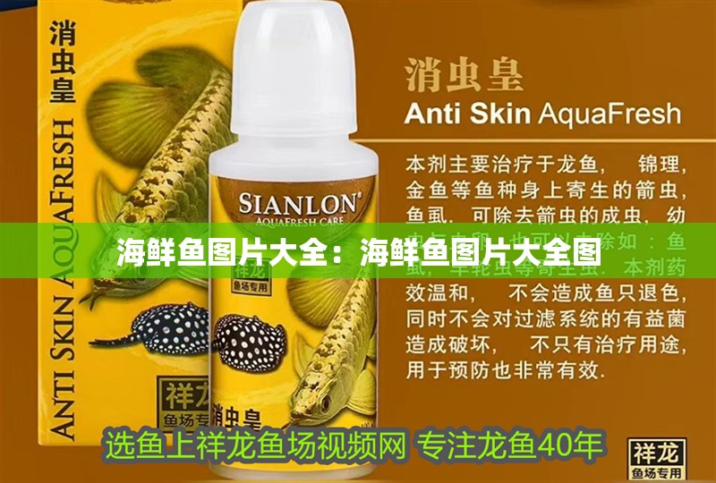 海鮮魚圖片大全：海鮮魚圖片大全圖
