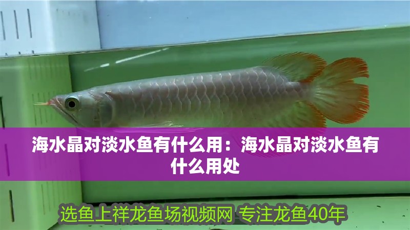 海水晶對淡水魚有什么用：海水晶對淡水魚有什么用處